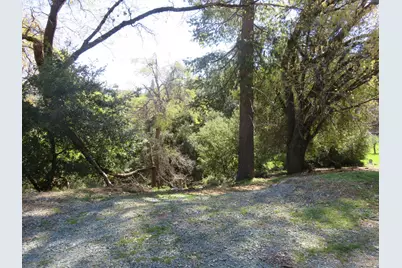 16670 Delores Court, Pioneer, CA 95666 - Photo 3