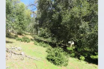 16670 Delores Court, Pioneer, CA 95666 - Photo 19