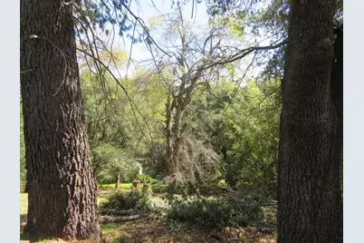 16670 Delores Court, Pioneer, CA 95666 - Photo 23