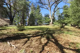 16670 Delores Ct, Pioneer, CA 95666 - Photo 1