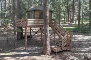 12523 Banner Lava Cap Rd, Nevada City, CA 95959 - Photo 35