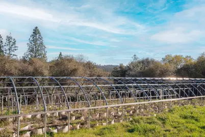 11245 Grey Eagle Road, Grass Valley, CA 95949 - Photo 5