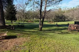 6801 Potts Trail, Browns Valley, CA 95918 - Photo 21