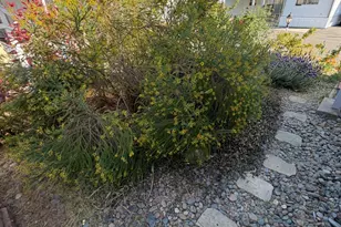 Auburn Folsom Rd, Granite Bay, CA 95746 - Photo 27