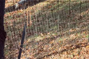 Pleasant Valley Rd, Diamond Springs, CA 95619 - Photo 39