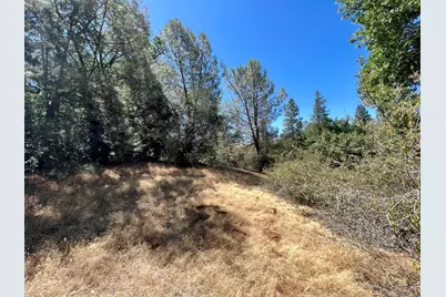 26 Cedar Pines Drive, Fiddletown, CA 95629 - Photo 21