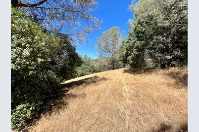 26 Cedar Pines Drive, Fiddletown, CA 95629 - Photo 25