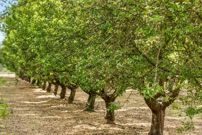 625 N Hopper Road, Modesto, CA 95357 - Photo 73