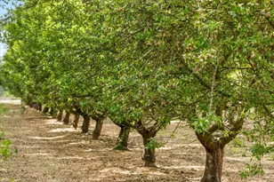 625 N Hopper Rd, Modesto, CA 95357 - Photo 73