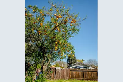 118 5th Street, Woodland, CA 95695 - Photo 59