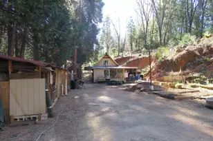 1360 Argonaut Ln, West Point, CA 95255 - Photo 1