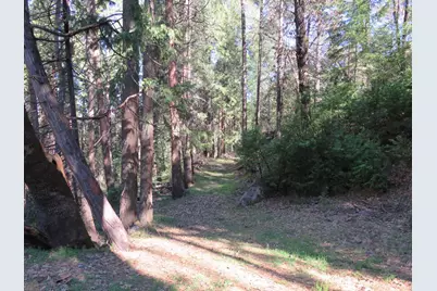 1360 Argonaut Lane, West Point, CA 95255 - Photo 25