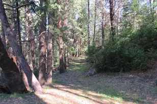 1360 Argonaut Ln, West Point, CA 95255 - Photo 25