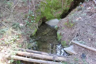 1360 Argonaut Ln, West Point, CA 95255 - Photo 35