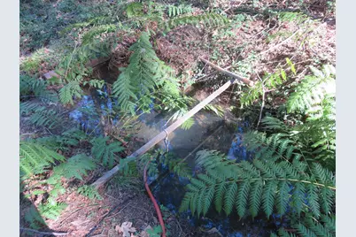 1360 Argonaut Lane, West Point, CA 95255 - Photo 37