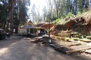 1360 Argonaut Ln, West Point, CA 95255 - Photo 3