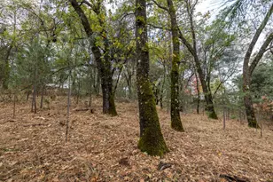 23717 Darkhorse Dr, Auburn, CA 95602 - Photo 27
