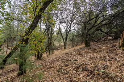 23717 Darkhorse Drive, Auburn, CA 95602 - Photo 31