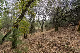 23717 Darkhorse Dr, Auburn, CA 95602 - Photo 31