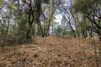23717 Darkhorse Drive, Auburn, CA 95602 - Photo 29