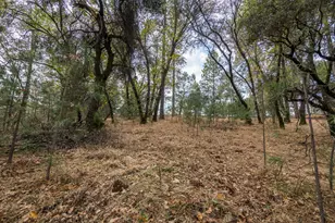 23717 Darkhorse Dr, Auburn, CA 95602 - Photo 29