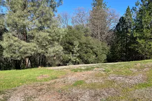 23717 Darkhorse Dr, Auburn, CA 95602 - Photo 15