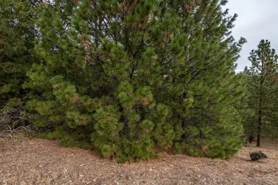 23717 Darkhorse Drive, Auburn, CA 95602 - Photo 21