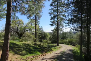 201 Sierra Madre Rd, Rail Road Flat, CA 95248 - Photo 55