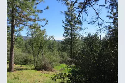 201 Sierra Madre Road, Rail Road Flat, CA 95248 - Photo 47