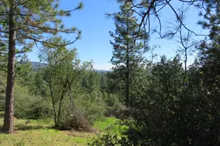 201 Sierra Madre Rd, Rail Road Flat, CA 95248 - Photo 47