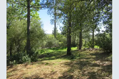 201 Sierra Madre Road, Rail Road Flat, CA 95248 - Photo 51