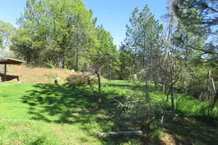 201 Sierra Madre Rd, Rail Road Flat, CA 95248 - Photo 49