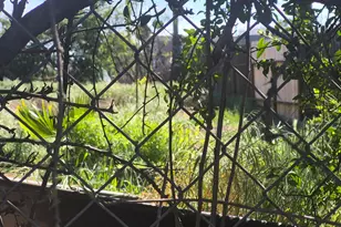 2085 Cabot Ave, Merced, CA 95348 - Photo 13