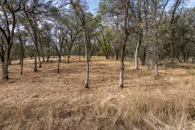 23272 Darkhorse Drive, Auburn, CA 95602 - Photo 5