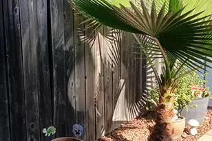 2205 Cheim Blvd, Marysville, CA 95901 - Photo 19