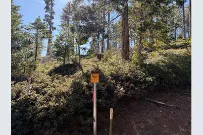 26150 Highway 108, Long Barn, CA 95335 - Photo 7