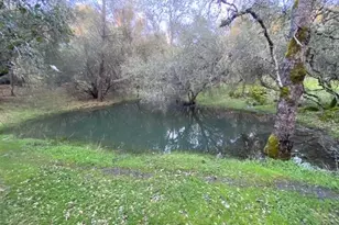 16190 Rolling Oaks Ct, Fiddletown, CA 95629 - Photo 69