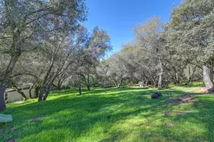 16190 Rolling Oaks Ct, Fiddletown, CA 95629 - Photo 61