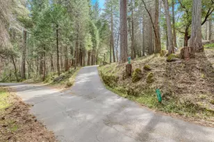 10641 Boulder St, Nevada City, CA 95959 - Photo 71