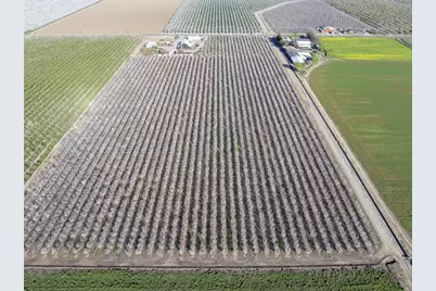 1424 Eucalyptus Avenue, Patterson, CA 95363 - Photo 7