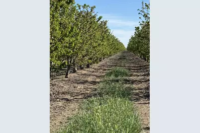 1424 Eucalyptus Avenue, Patterson, CA 95363 - Photo 15