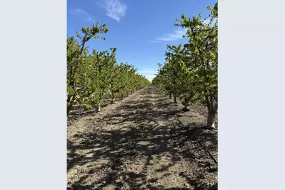 1424 Eucalyptus Avenue, Patterson, CA 95363 - Photo 3