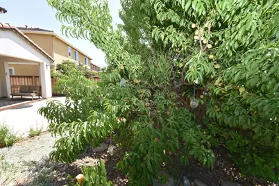 2014 Read Court, Woodland, CA 95776 - Photo 41