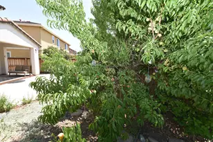 2014 Read Ct, Woodland, CA 95776 - Photo 41