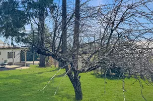 10090 West Dr, Grass Valley, CA 95945 - Photo 27