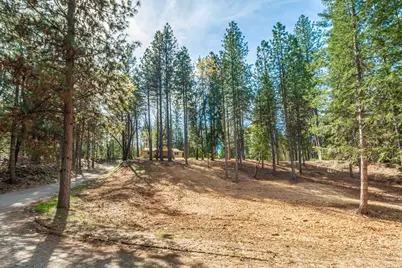 16116 Sycamore Lane, Camptonville, CA 95922 - Photo 3