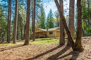 16116 Sycamore Ln, Camptonville, CA 95922 - Photo 23