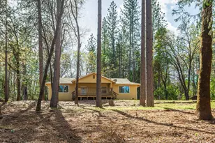 16116 Sycamore Ln, Camptonville, CA 95922 - Photo 1