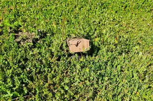 19215 Hooker Creek Rd, Cottonwood, CA 96022 - Photo 31