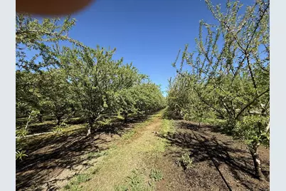 1613 Fig Avenue, Patterson, CA 95363 - Photo 3